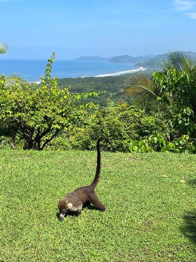 Sweet Jungle Beach Playa Bejuco  Luaran gambar